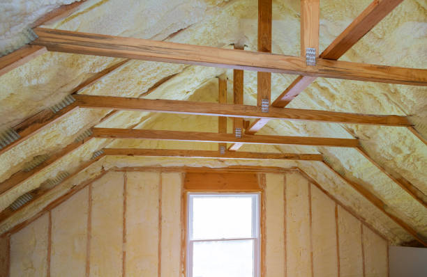 Best Insulation Removal  in Tazewell, VA