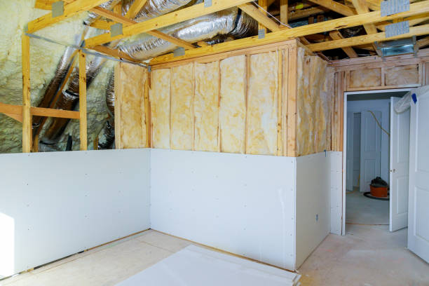 Best Insulation Removal  in Tazewell, VA