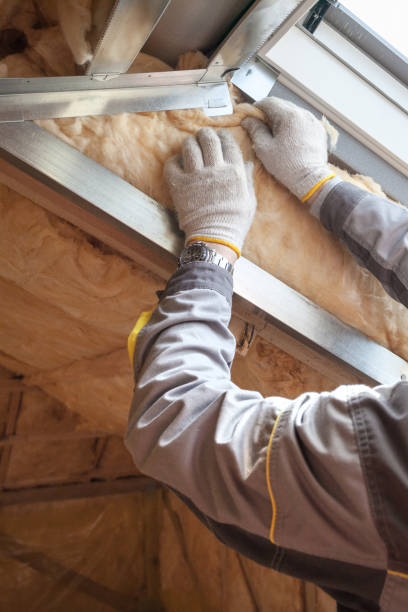 Best Home Insulation Services  in Tazewell, VA