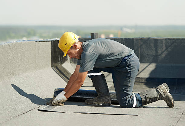 Best Energy-efficient Insulation  in Tazewell, VA